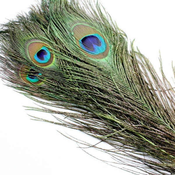 Natural Peacock Feathers.  Long Dark Green Peacock Bird Feathers. Green Feathers for Hats. Peacock Feathers for Wedding Decorations