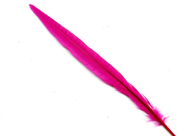 Fuchsia Colored Stiff Narrow Bird Decoration Dyed Rose Hat Band Decorations Long Earring Feather Hot Pink Ringneck Pheasant Tail Feathers