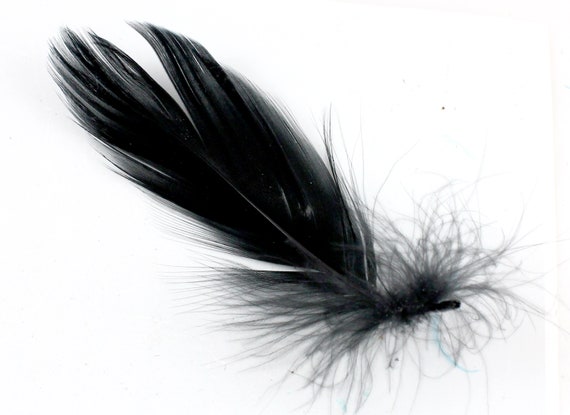3-5 Inch Black Goose Feathers. 10 Fuzzy Dark Colored Bird,  Canada