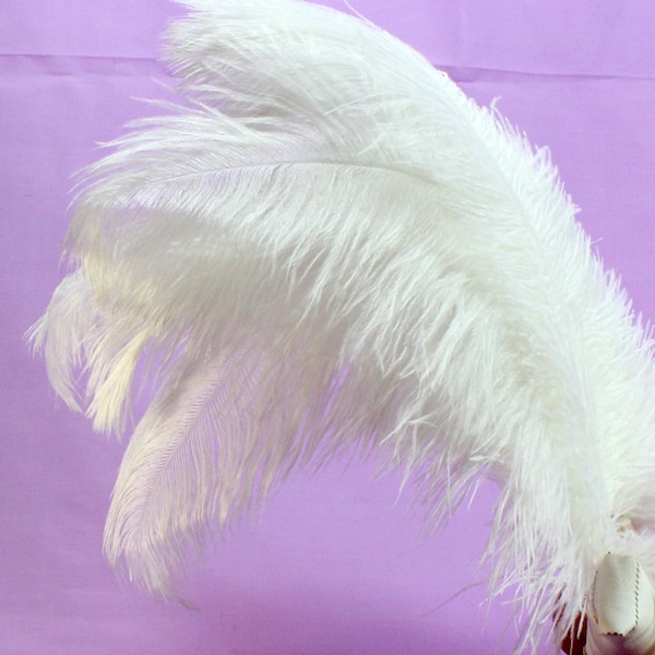 9-11 Inch White Ostrich Feathers. (5) Long Light Colored Plumes for Making Costumes or Using in Hat Bands. Big Fluffy Feathers for Tables