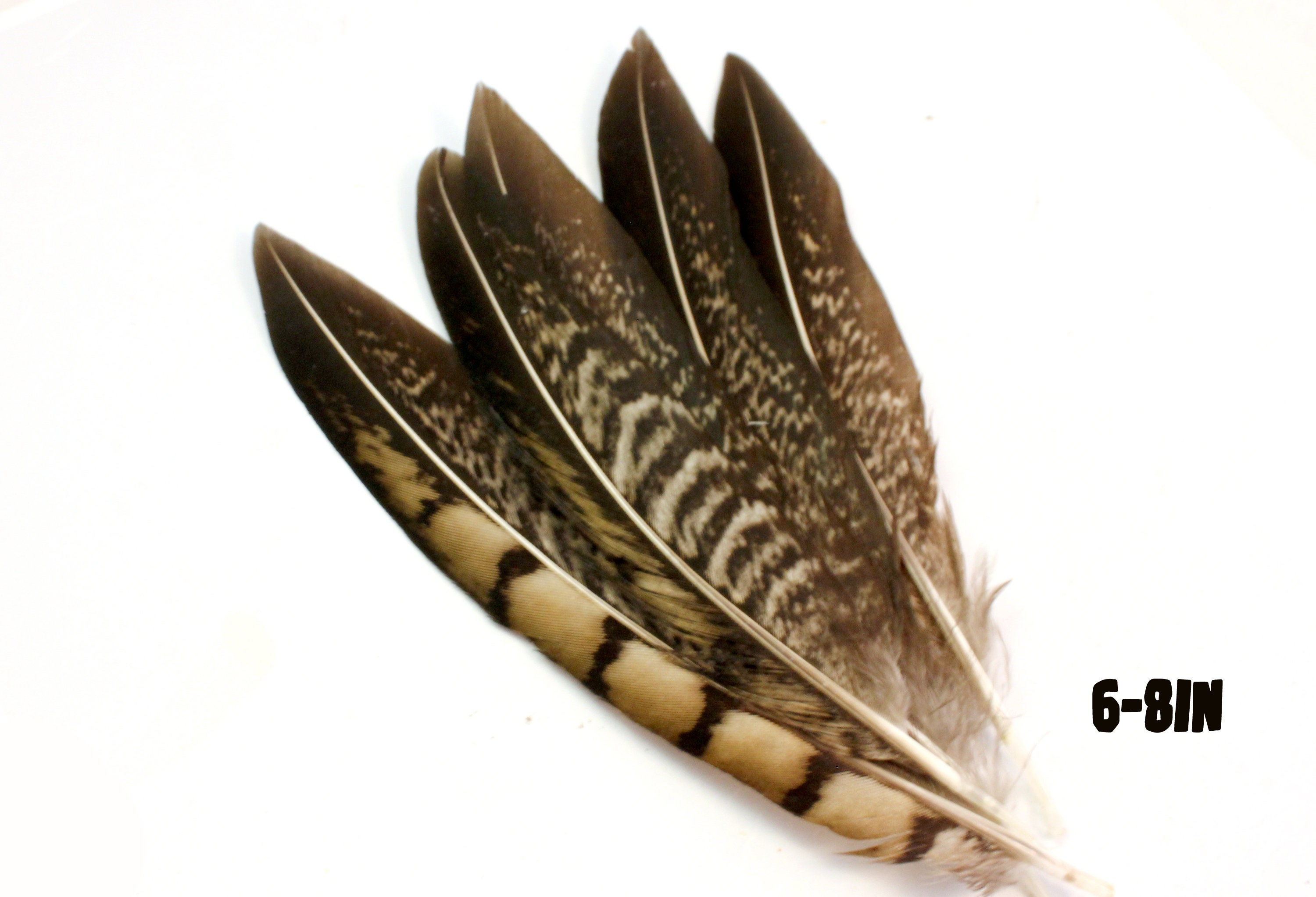  Jeniorr - 50 plumas de cola de faisán plateadas para  manualidades, 12-32 pulgadas, decoración de plumas de faisán Lady Amherst  para decoración larga de plumas de faisán DIY – 19.7-21.7 in