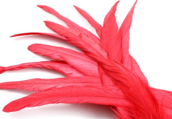 9-11 Inches Red Rooster Tail Feathers 5 Dark Colored Bird Feathers With  Smooth Flat Barbs. Long Thin Chicken Decorations for Costumes -  Sweden