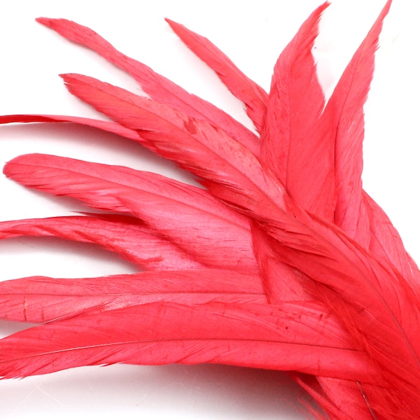 9-11 Inches Red Rooster Tail Feathers (5) Dark Colored Bird Feathers with Smooth Flat Barbs. Long Thin Chicken Decorations for Costumes