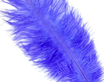 5-7 Inch Blue Ostrich Feathers. (5) Blue Feathers for Wedding Decor. Feathers for Head Piece. Fascinator Feathers. Ostrich Hat Feathers.