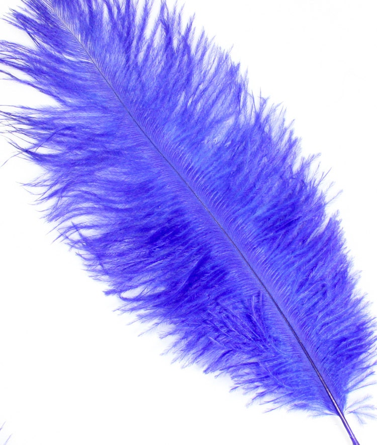 7-9 Inch Blue Ostrich Feathers. 5 Blue Feathers for Wedding | Etsy
