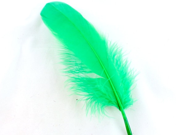 7-9 Inch Lime Green Duck Feathers 10 Light Green Feathers for Making Masks.  Green Bird Feathers. Green Goose Feathers. Green Costume 