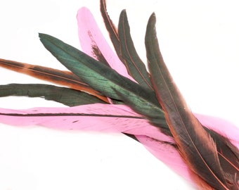 9-11 Inch Pink and Brown Rooster Tail Feathers (5) Long Pointed Bird Quills for Making Table Center Pieces and Fancy Mask. Narrow Dyed Plume