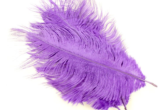 7-9 Inch Purple Ostrich Feathers (5) Lavander Feathers. Grape Bird  Feathers. Center Piece Quills. Purple Wedding Feather. Purple Pen Plumes