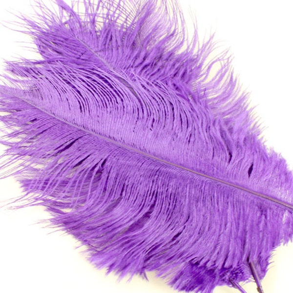 Purple Feather Etsy