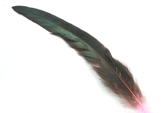 9-11 Inch Pink and Brown Rooster Tail Feathers 5 Long Pointed Bird