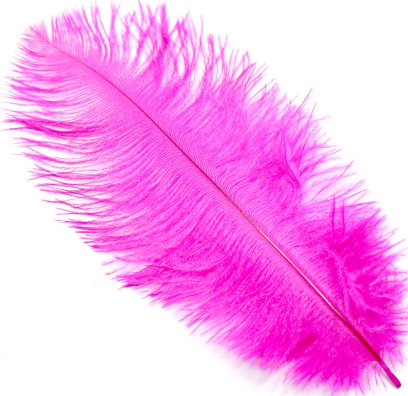 57 Inch Hot Pink Ostrich Feathers. 5 Pink Feathers for Etsy