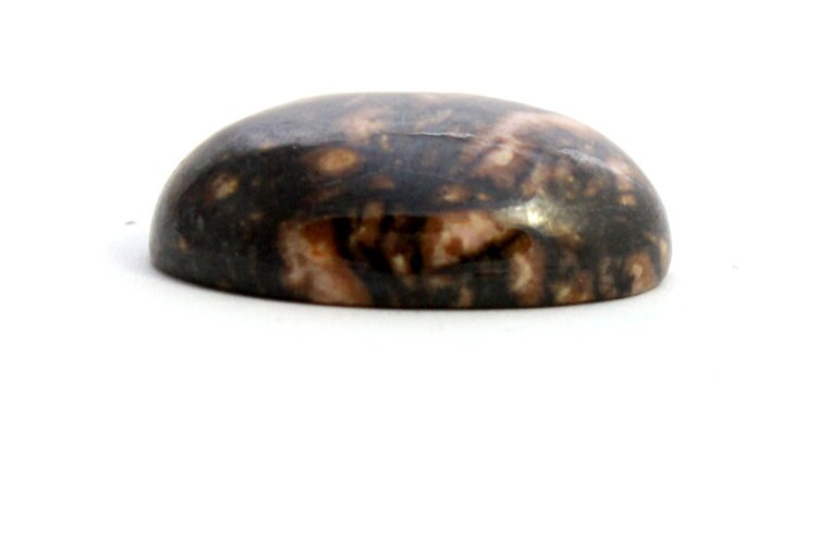 Rhodonite Cabochon. A Dark Oval Stone With Light Pink Spots Rhodonite Cabochon. A Dark Oval Stone With Light Pink Spots