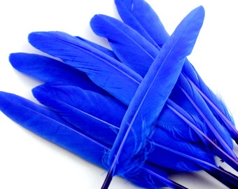 4-6 Inch Dark Blue Duck Feathers (10) A Long Thin Bird Decoration with Very Stiff Quills and Pointed Ends for Making Kids Crafts. Navy Blue