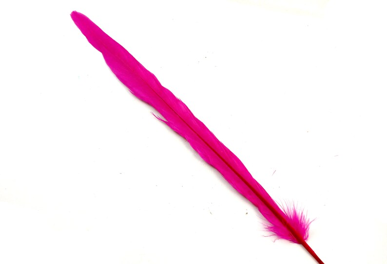 Fuchsia Colored Stiff Narrow Bird Decoration Dyed Rose Hat Band Decorations Long Earring Feather Hot Pink Ringneck Pheasant Tail Feathers