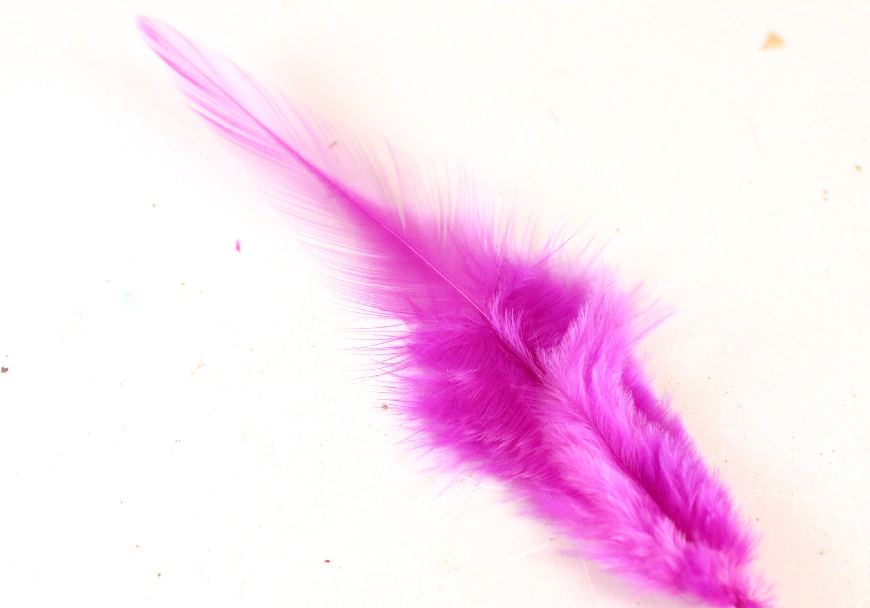 Plum Rooster Hackle Feathers for Making Hair Fascinators Narrow Wine