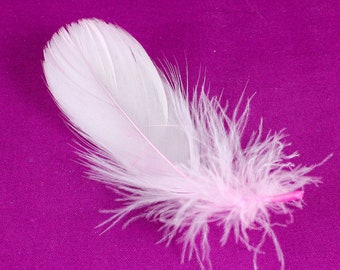 3-5 Inch Baby Pink Feathers. Light Colored Plumes for Making Cat Toys. A Curved Bird Quills with Soft Fuzzy Bottom for Dream Catchers