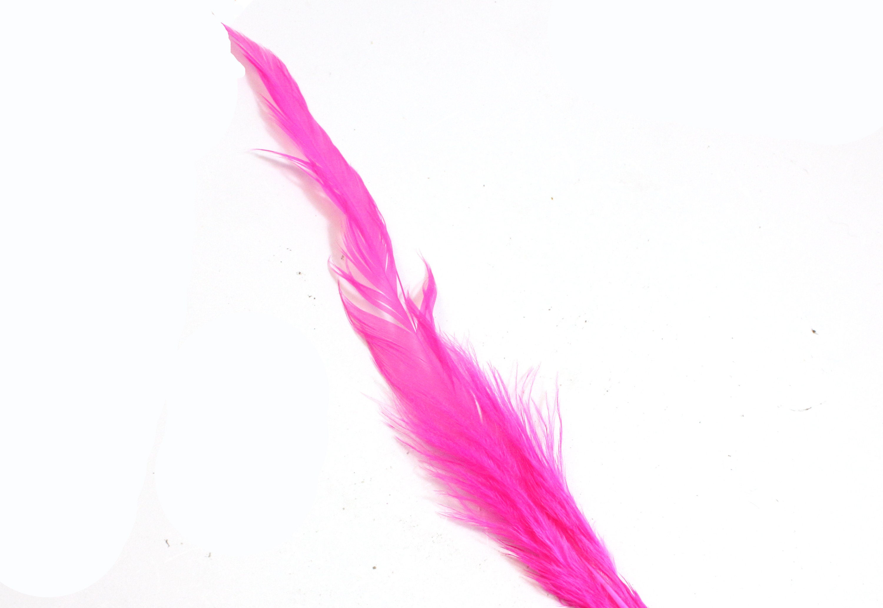 7-9 Inch Long Pink Feathers. Magenta Bird Quills for Making Costumes. Hot  Pink Rooster Tail Feathers for Halloween Masks and Hair Braids 