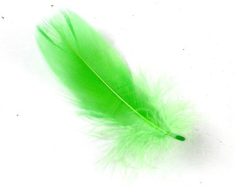 1-3 Inch Emerald Green Goose Feather. An Apple Colored Bird Decoration for Making Boas and Trendy Earrings. Short Fuzzy Dyed Ornament