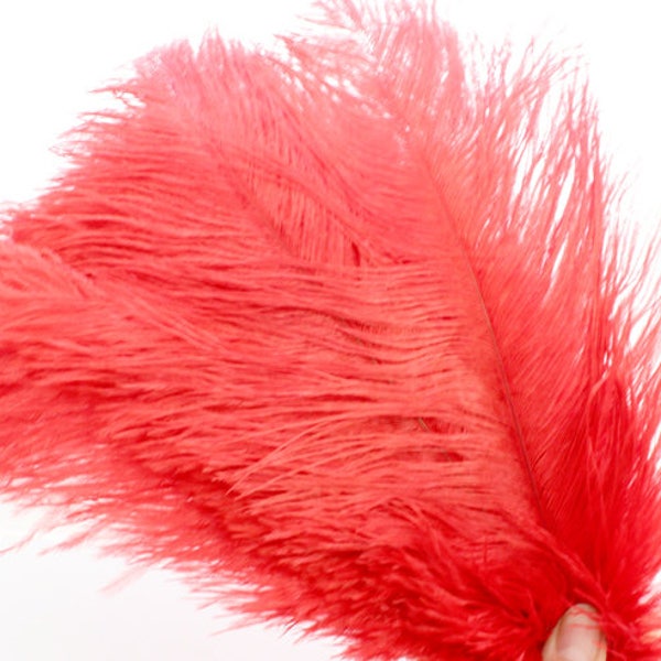 9-12 Inch Red Ostrich Feather. (5) Red Bird Feather. Red Feather. Red Mask Feather. Red Costume Feather. Hat Making Supplies