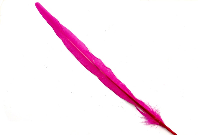 Fuchsia Colored Stiff Narrow Bird Decoration Dyed Rose Hat Band Decorations Long Earring Feather Hot Pink Ringneck Pheasant Tail Feathers