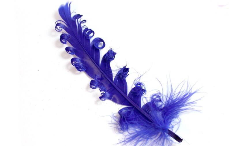 Blue Curled Duck Feathers. 5 Navy Colored Bird Feathers for - Etsy