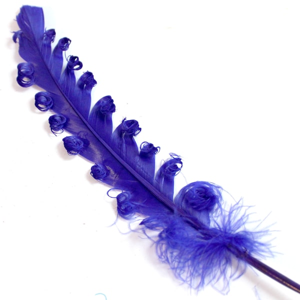 Blue Curled Duck Feathers. (5) Navy Colored Bird Feathers for Making Fancy Hats. Dark Styled Goose Feathers with Stiff Shaft for Crafts