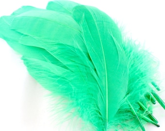 7-9 Inch Lime Green Duck Feathers (10) Light Green Feathers for Making Masks. Green Bird Feathers. Green Goose Feathers. Green Costume