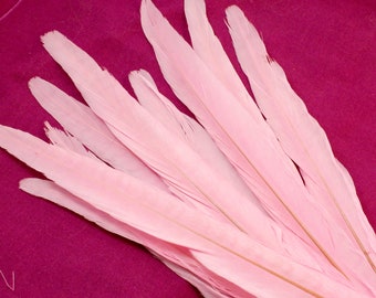 Light Pink Pheasant Feather. A Pale Colored Ringneck Tail Decoration for Making Long Earrings. Narrow Stiff Bird Ornaments with Faint Bands