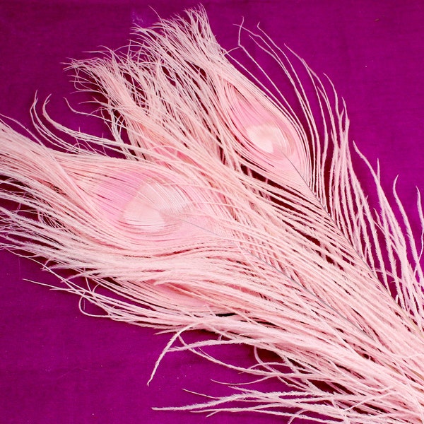 Baby Pink Peacock Feathers. (5) Dyed Solid Color Bird Ornaments with Large Eyes and Fringe. Long Flat Quills for Making Boutonnieres Crafts