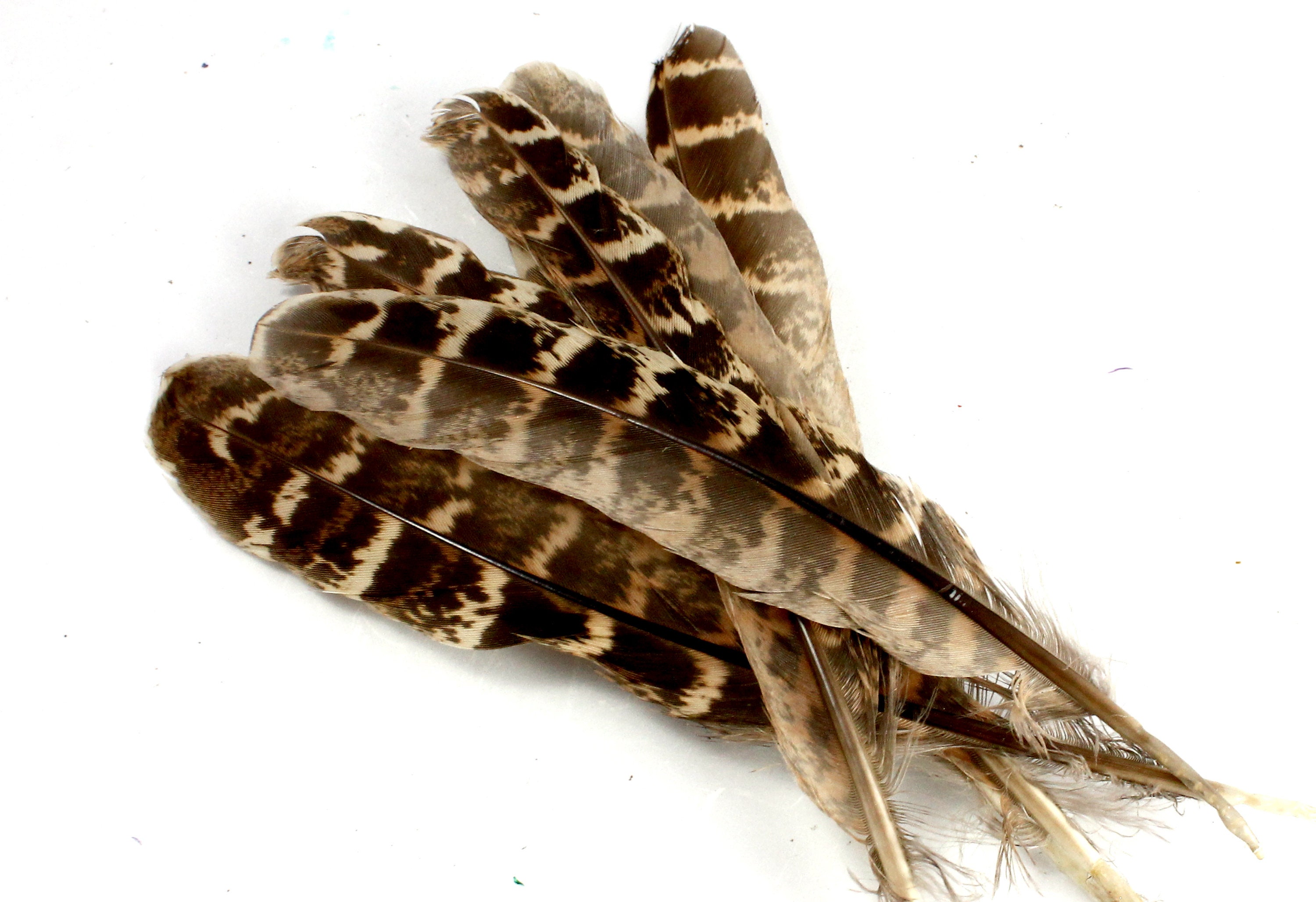Natural Craft Supplies Short Brown Feathers Millinery Supplies
