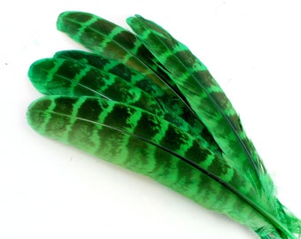 5-6 Inch Green Pheasant Wing Feathers. (10) Emerald Colored Bird Decoration for Making Masks. A Stiff Curved Quill with Thick Black Lines