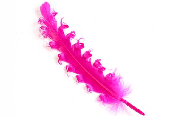 7-9 Inch Long Pink Feathers. Magenta Bird Quills for Making