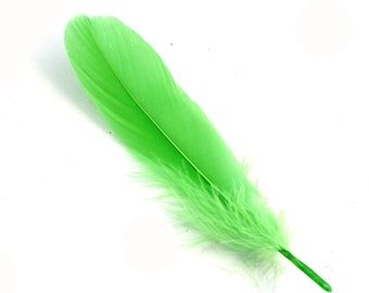 7-9 Inch Lime Green Duck Feathers. (10) Acid Green Bird Quills for Making Halloween Masks. Long Curved Goose Decorations with Fuzzy Bottoms