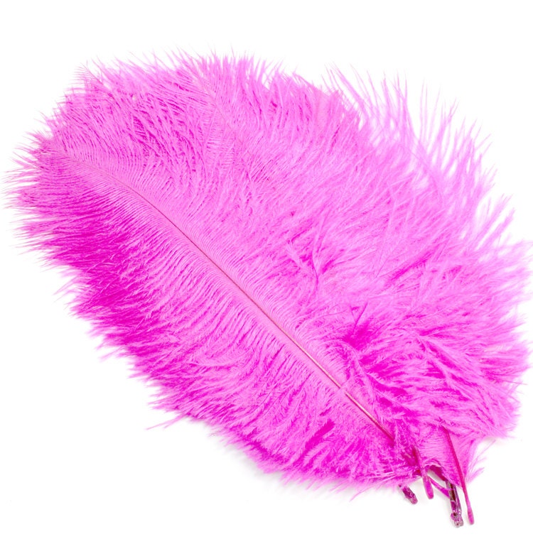 5.7 Inch Hot Pink Ostrich Feathers. 5 Pink Feathers for | Etsy