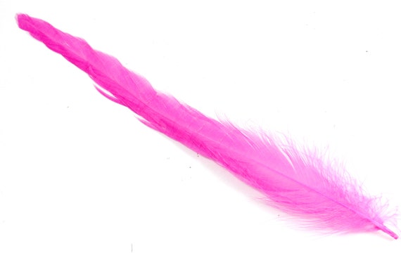 Plumas rosas largas de 7-9 pulgadas. Plumas de pájaro magenta para hacer  disfraces. Plumas de cola de gallo rosa caliente para máscaras de Halloween  y trenzas de pelo -  España