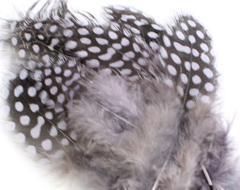 2-3 Inch Gray Guinea Fowl Feathers (10) Short Spotted Quills for Making Masquerade Masks or In Style Dangly Earrings.