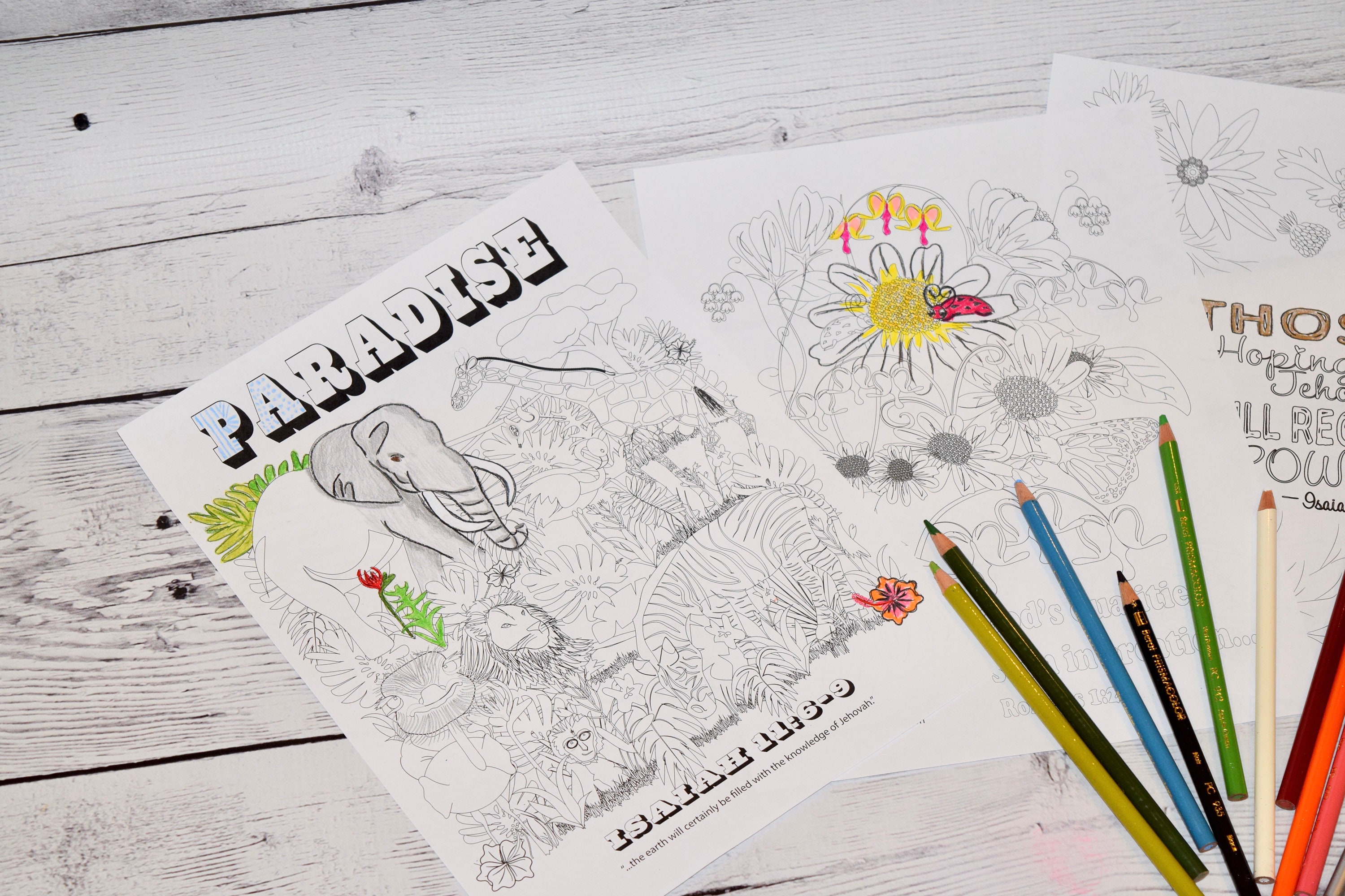 4 Coloring Pages, Jw Coloring Pages, Adult Coloring Page, Color With ...