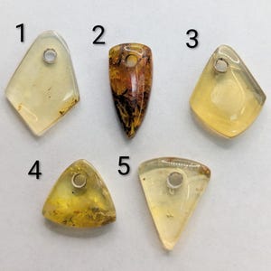 May include: Five amber pendants in various shapes: a diamond, a teardrop, a rhombus, a triangle, and a modified triangle. Each pendant has a small hole for stringing. The amber colors range from light yellow to deep brown, with some inclusions visible.