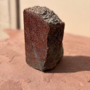 AAA Grade Dinosaur Bone Specimen: Polished Fossil from Utah/Colorado