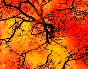 CREEPY TREE Halloween 100% Cotton Fabric Quilting Sewing Crafting