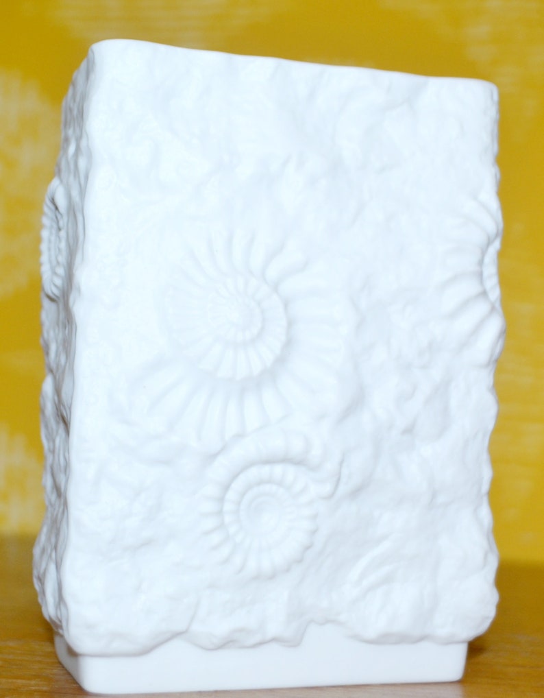 Puede incluir: Jarr&oacute;n de cer&aacute;mica blanca con una superficie texturizada que se asemeja a una formaci&oacute;n rocosa. El jarr&oacute;n presenta dise&ntilde;os en relieve detallados de amonitas fosilizadas.