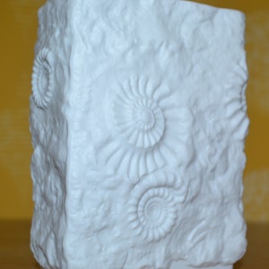 Puede incluir: Jarr&oacute;n de cer&aacute;mica blanca con una superficie texturizada y dise&ntilde;os en relieve de amonites. El jarr&oacute;n es de forma rectangular y tiene una base lisa y blanca.