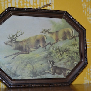Vintage picture 60s picture red wild deer mid century retro