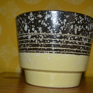 Puede incluir: Un macetero de cerámica marrón y amarillo con motas blancas y una banda de líneas marrones alrededor del centro.