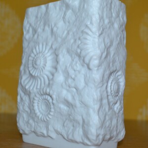 Puede incluir: Jarr&oacute;n de porcelana blanca con una superficie texturizada que se asemeja a una formaci&oacute;n rocosa. El jarr&oacute;n est&aacute; decorado con f&oacute;siles de amonites en relieve detallados.