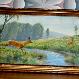 Vintage picture 60s picture red deer