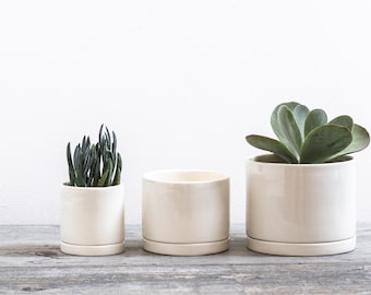 Tabletop Planter with Tray in White