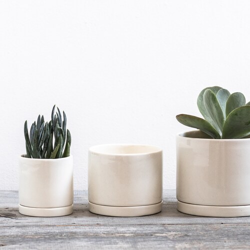 Tabletop Planter With Tray in White Etsy