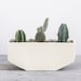 see more listings in the Planters section