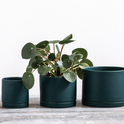 Tabletop Planter With Tray in Siren Blue Etsy